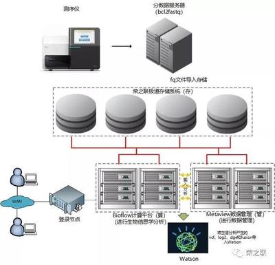 基因檢測分析服務升級，榮之聯助力菩提慧生醫學檢驗所數據處理服務